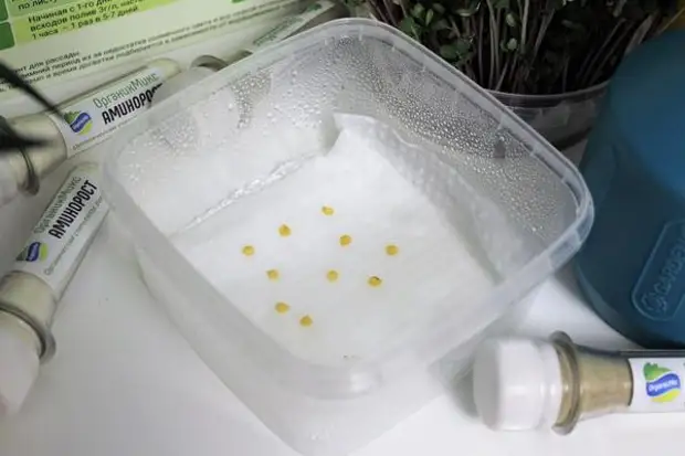 ������ ���������� ����������