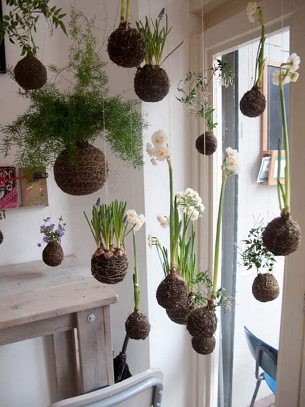 Очень хорошее решение, которое создаст определенно прекрасную атмосферу в доме – это подвесной мини-сад.