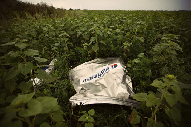 Сбитый Боинг MH-17