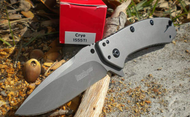 Kershaw Cryo Короткое лезвие этого ножа будет лишь преимуществом в темных переулках небезопасного района. Сталь марки 8Cr13MoV защищена титановым покрытием: Kershaw Cryo можно вскрыть даже замешкавшегося терминатора. Нож прекрасно подойдет новичкам — он не требователен, ухватист и отлично выполняет все возложенные на него функции.