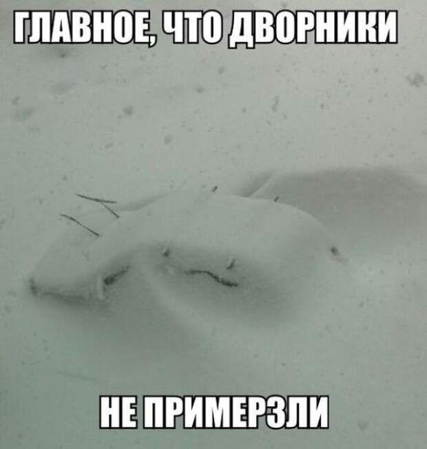 Автоприколы Автоприколы автоприколы, прикол, юмор
