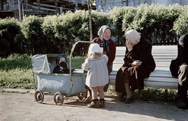 Бабушки, гуляющие с внуками.