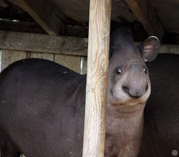 А мы милашки! 25