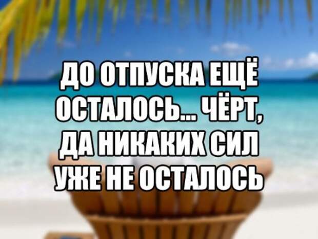 Прикольные фотомемы для всех (28 шт)