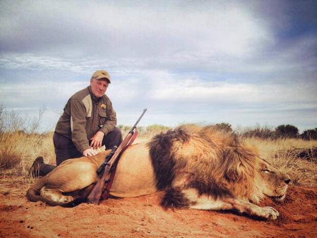 Охота на Большую Пятерку в африке, африканская охота, сафари в африке, купить сафари тур, дешевое африканское сафари, охота на льва, охота на носорога, охота на леопарда, охота на буйвола