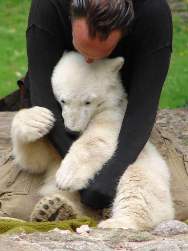 13-knut