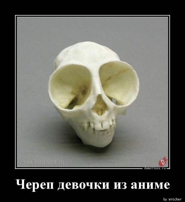 Демотиваторы для отличного настроения (20 фото)