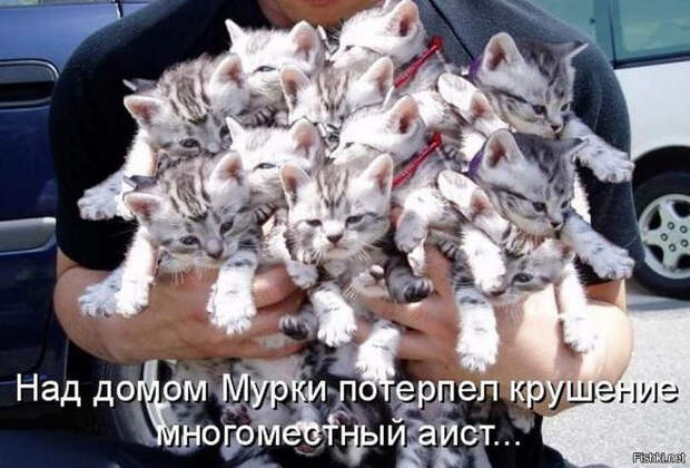 Смешные картинки с надписями прикол, юмор