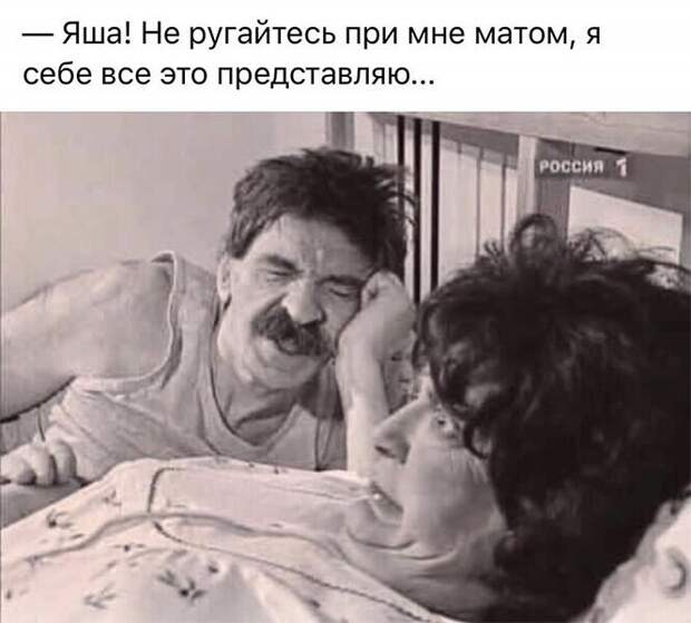Порция позитивчика в 25 картинках