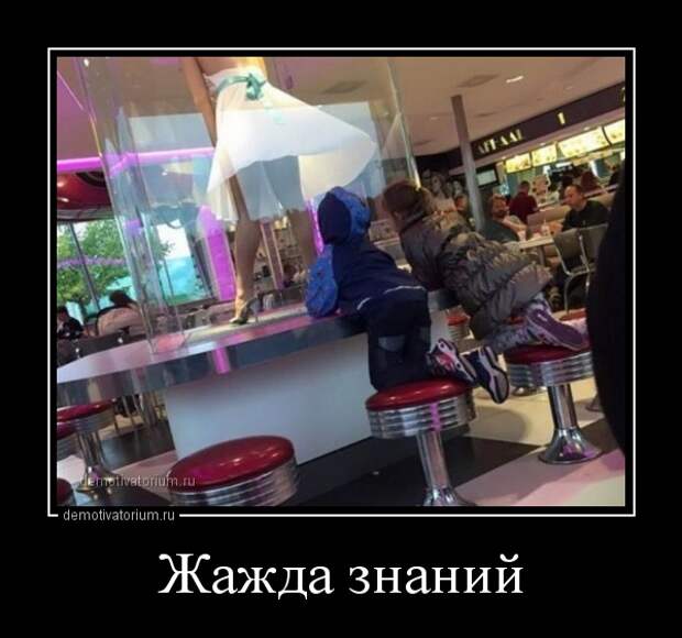 Забавные вечерние демотиваторы из нашей жизни со смыслом