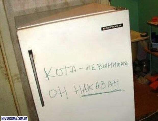 Смешные объявления (64 фото)