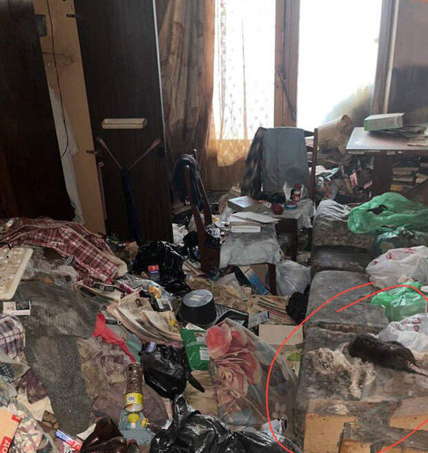 В Москве женщина купила квартиру по соседству с жильем, наполненным трупами