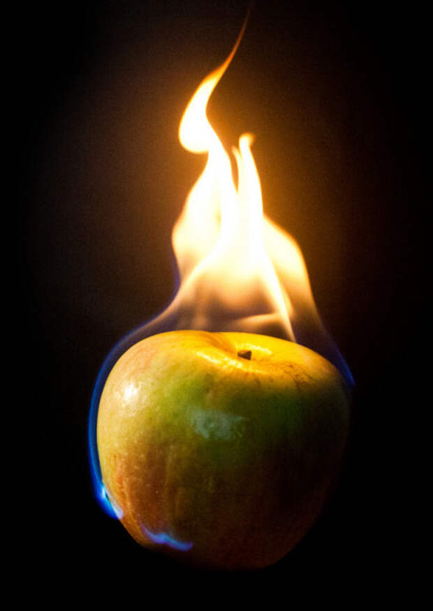 Почему горит яблоко. Огненное яблоко. Яблоко в огне. Яблоки на костре. Горящее яблоко.