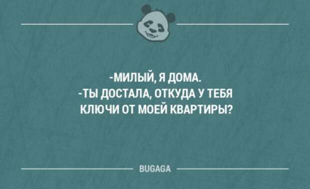 Прикольные фразы и забавные мысли. Часть 100 (20 шт)