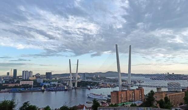 Картина дня в Приморье: «педофил на свободе?», подвиг лейтенантов и «игра в кальмара»