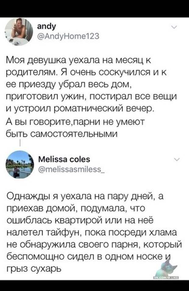 картинки
