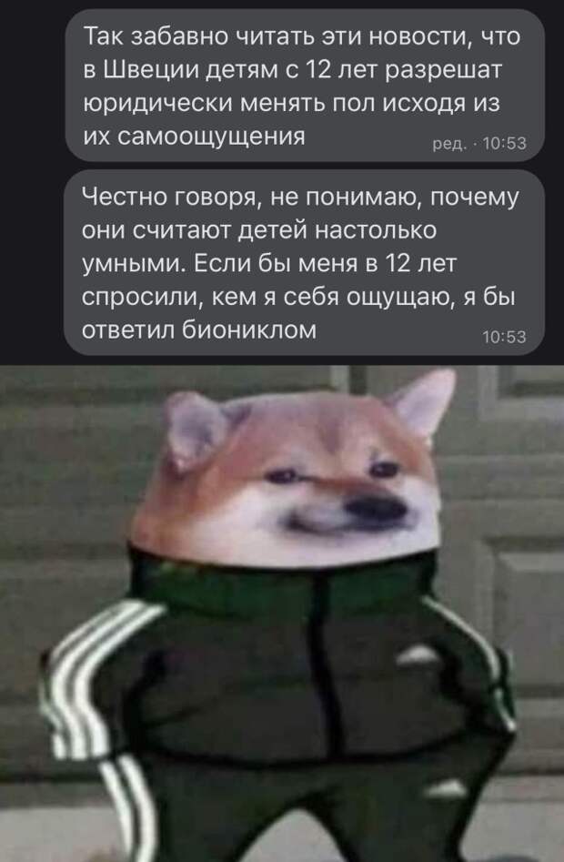 Смешные картинки 7 декабря 2021 года