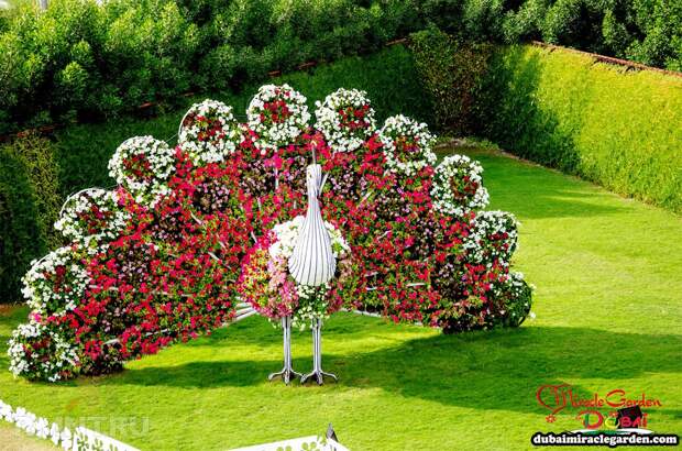 Фото экскурсия в потрясающий парк Miracle Garden