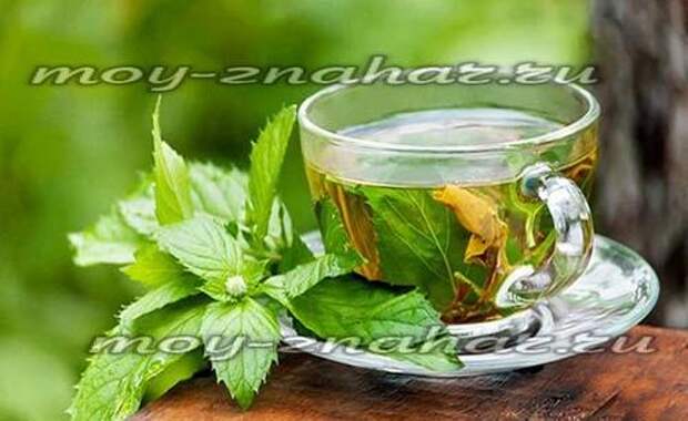 Чай из листьев смородины: польза