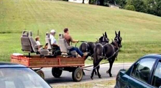 ОЧУМЕЛЫЕ РУЧКИ ОЧУМЕЛЫЕ РУЧКИ