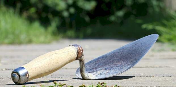 В Алтайском крае могут запустить пилотный проект по комплексной малоэтажной застройке