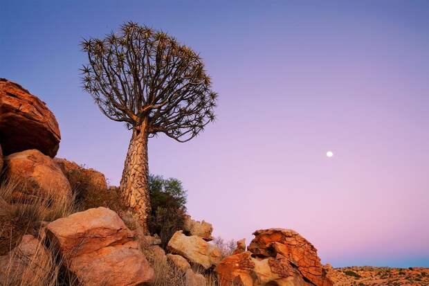 Namibia13 Namibia13 Фантастические пейзажи Намибии