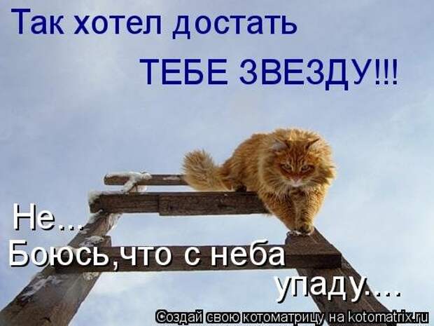 Новая отличная котоматрица (38 фото)