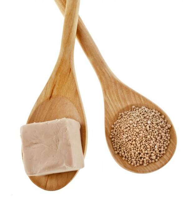 дрожжи дрожжи