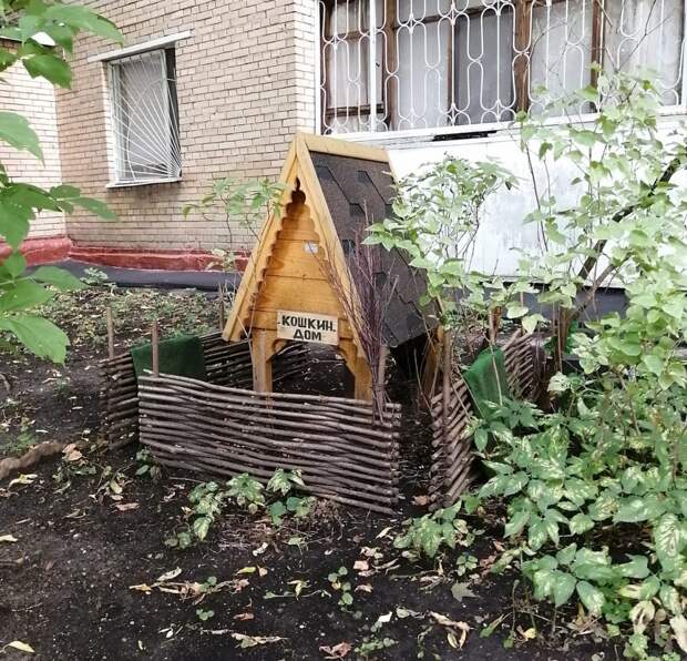 Фото: Мария Портнова