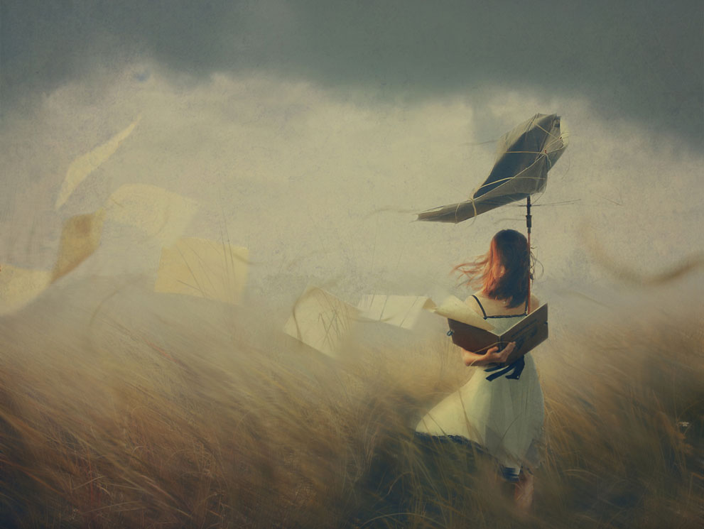 SonyAwards20 SonyAwards20 Победители фотоконкурса 2013 Sony World Photography Awards