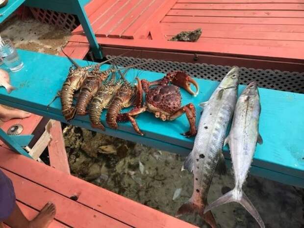 В Карибском море сдается в аренду необитаемый остров (8 фото)