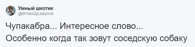 Кто во что горазд, или как правильно назвать своего питомца Кто во что горазд, или как правильно назвать своего питомца