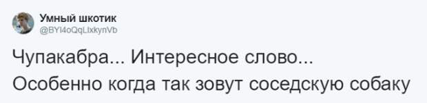 Кто во что горазд, или как правильно назвать своего питомца