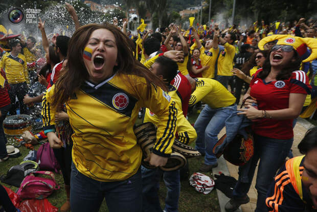 Чемпионат мира по футболу 2014