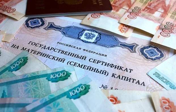 Более 500 тульских семей оплатили материнским капиталом обучение детей в вузах в 2025 году