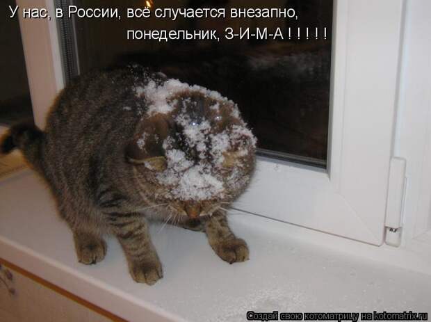 Котоматрица: У нас, в России, всё случается внезапно, понедельник, З-И-М-А ! ! ! ! !