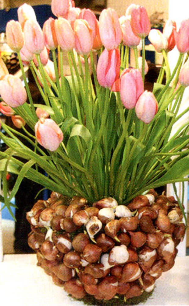 Декор цветочного горшка луковицами тюльпанов 7