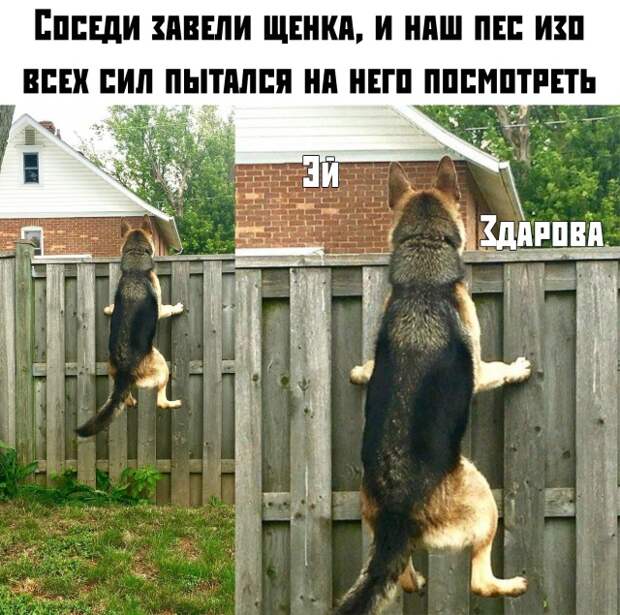 www.vsyako.net