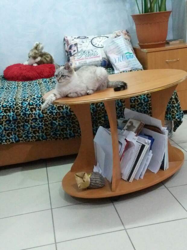 1Sem2oEvVYA (1)