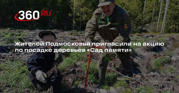 Жителей Подмосковья пригласили на акцию по посадке деревьев «Сад памяти»