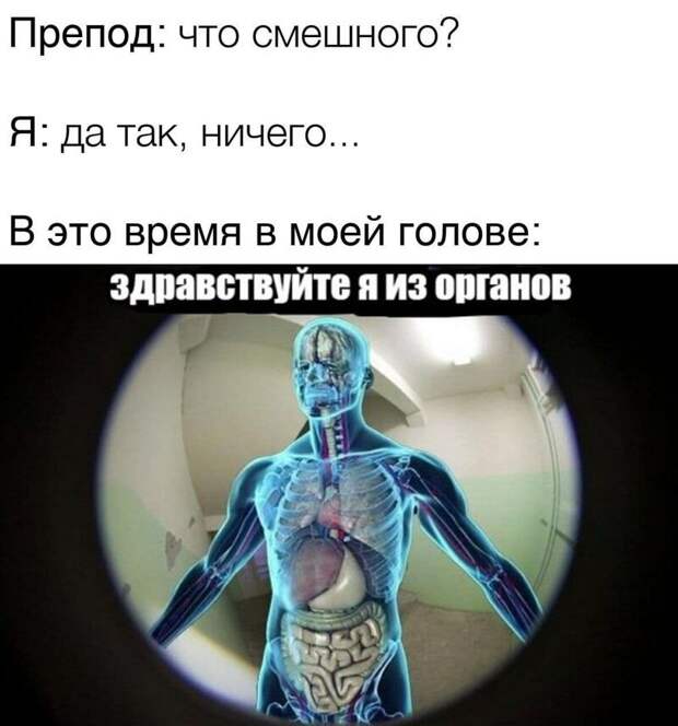 Менеджер по пропажам и полсобаки: подборка каламбуров и лингвошуток