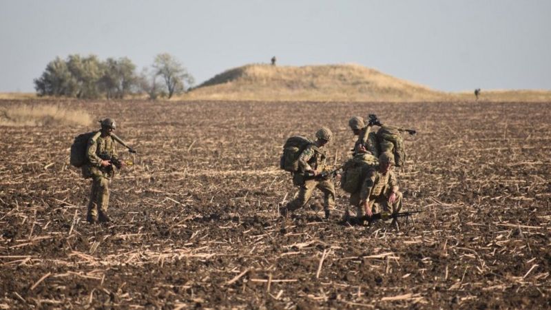 Британская база в степях Украины. Введут ли в Николаевскую область королевские войска