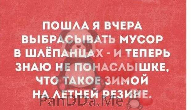 Новейшая порция хороших и добрых коротких рассказов с просторов интернета Новейшая порция хороших и добрых коротких рассказов с просторов интернета