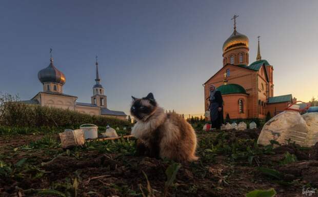 Тульский фотограф Илья Гарбузов поделился серией фото с монастырем в Колюпаново