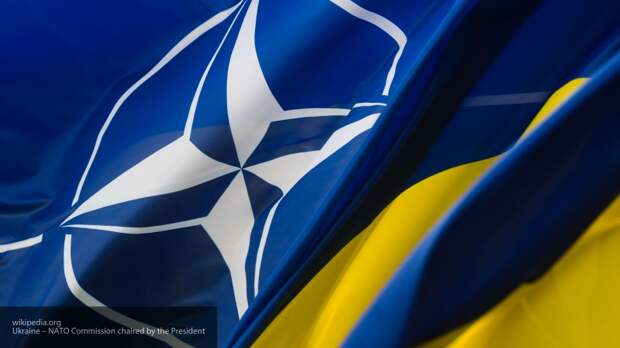Политолог Джаралла объяснил, почему Зеленский просит срочно принять Украину в НАТО