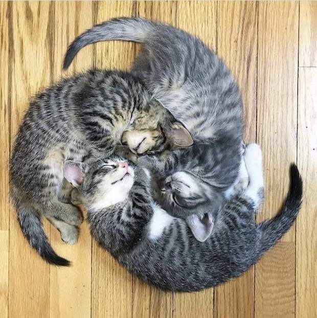 1. 1.