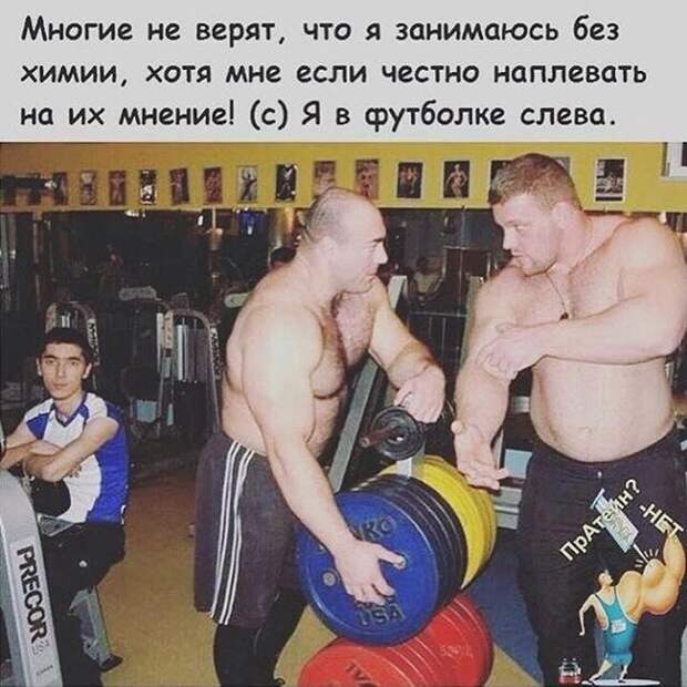 Смешные картинки с надписями прикол, юмор