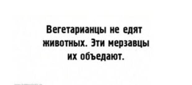 24 юмористических открытки с мудрыми жизненными наблюдениями