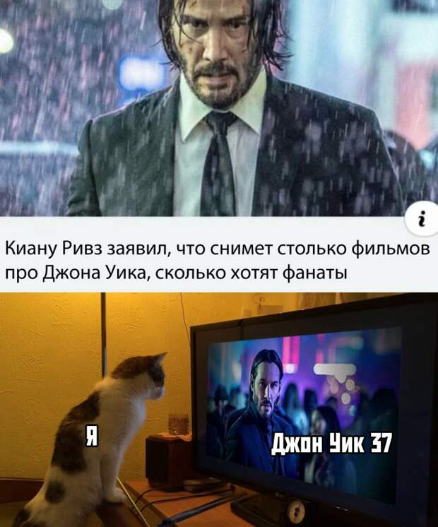 kartinok-prikolnyh-podborka-kartinki-smeshnye-kartinki-fotoprikoly