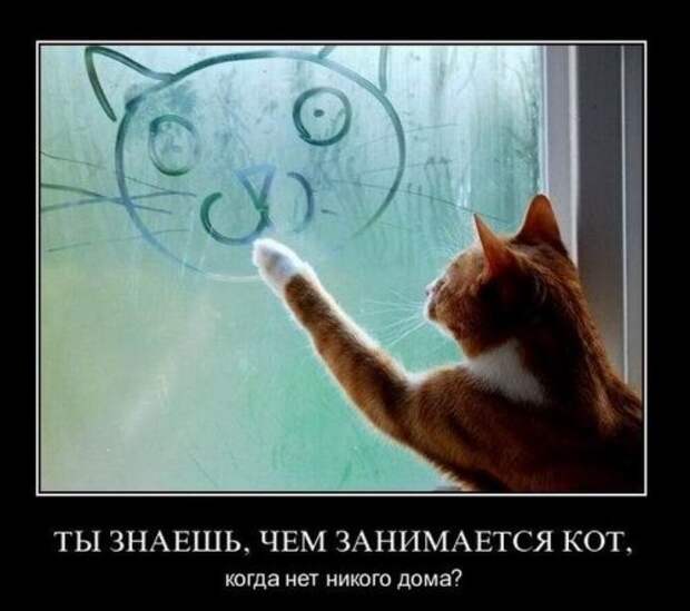 Прикольные демотиваторы